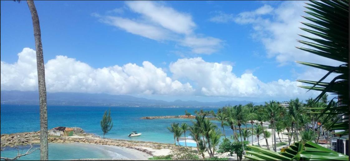 F1 Vue Mer, Acces Plage, En Centre-Ville Le Gosier  Exterior photo